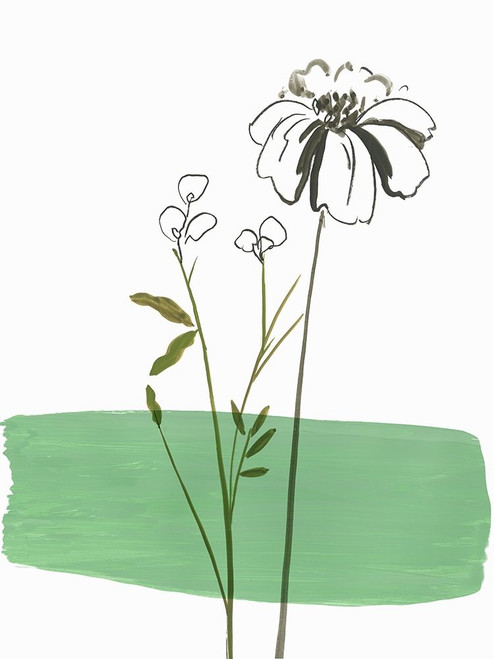 Little Herb II Poster Print by Asia Jensen # JN510A