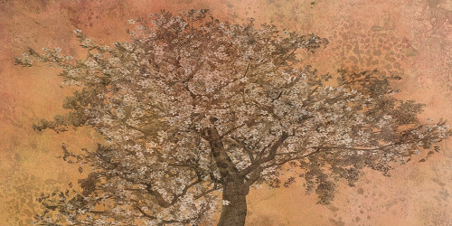 Strong Tree Poster Print by Jamie Phillip # JPW30A