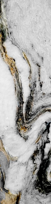 Golden 1 Poster Print by Jamie Phillip # JPV59A