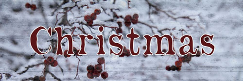 Christmas Snow Poster Print by Jamie Phillip # JPH16A