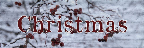 Christmas Snow Poster Print by Jamie Phillip # JPH16A