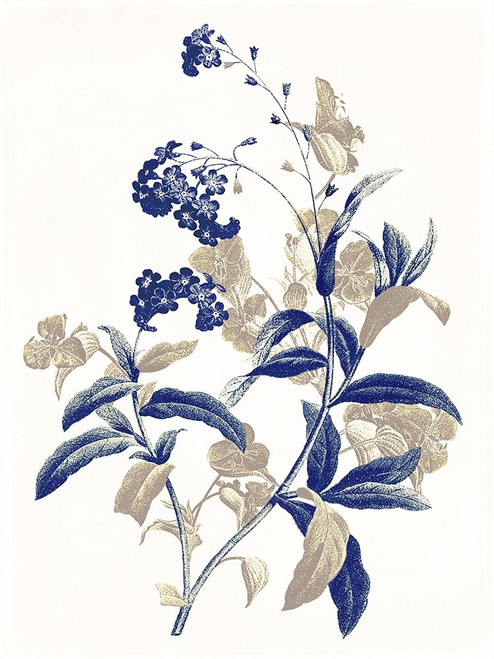 Indigo Flowers Two Poster Print by Jace Grey # JGRC773B