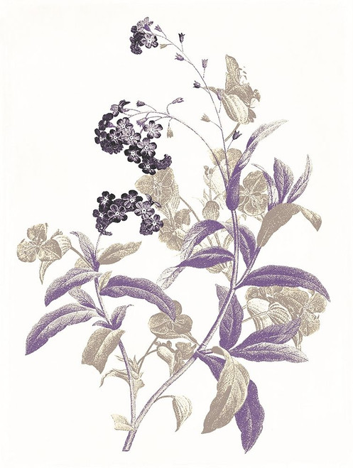 Lavender Flowers Two Poster Print by Jace Grey # JGRC679B2