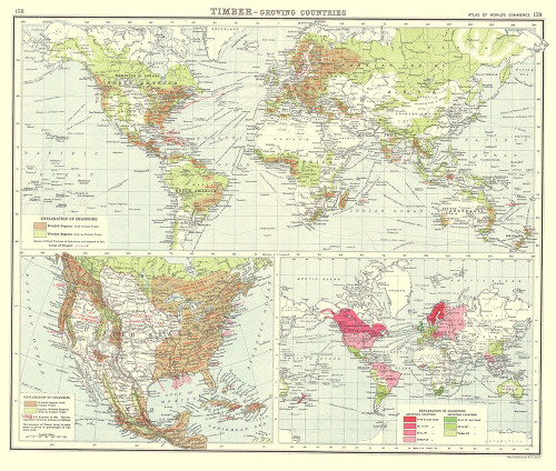 Global Timber Growing Countries - Bartholomew 1907 Poster Print by Bartholomew Bartholomew # ITGL0029