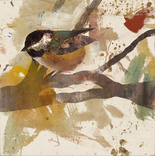 Garden Bird  Poster Print by Daniel St Amant # IE008A