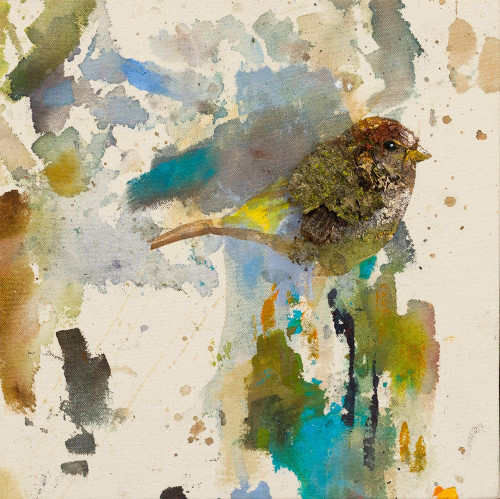 Blue Chiffchaff  Poster Print by Daniel St Amant # IE035A