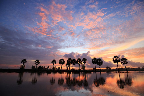 Coucher de soleil Poster Print by Braun Studio Braun Studio # I0092