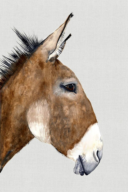 Brown Donkey�_ Poster Print by Jodi Hatfield # HJ007A