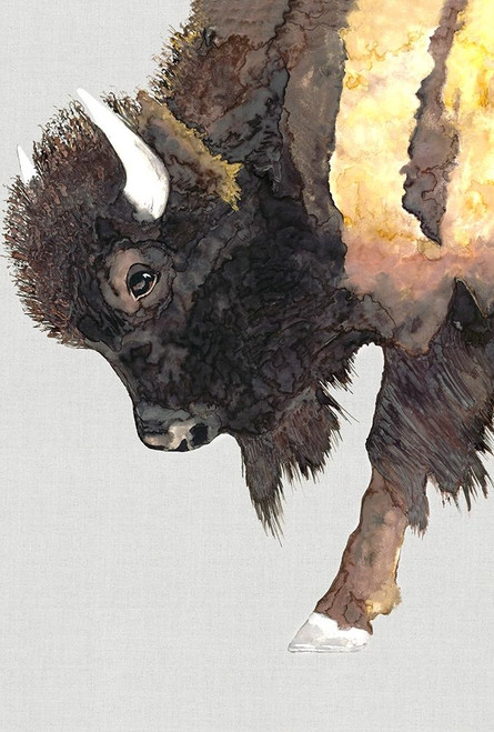 Buffalo Bill  Poster Print by Jodi Hatfield # HJ005A