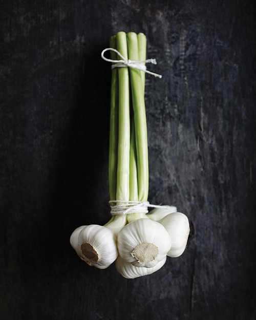 Food 4 Poster Print by Braun Studio Braun Studio # H3237