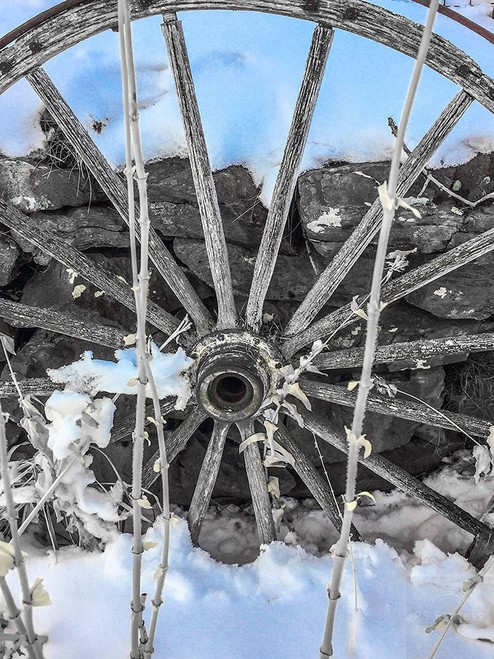 Montana Wagon Wheel II Poster Print by Heidi Bannon # HBA117010