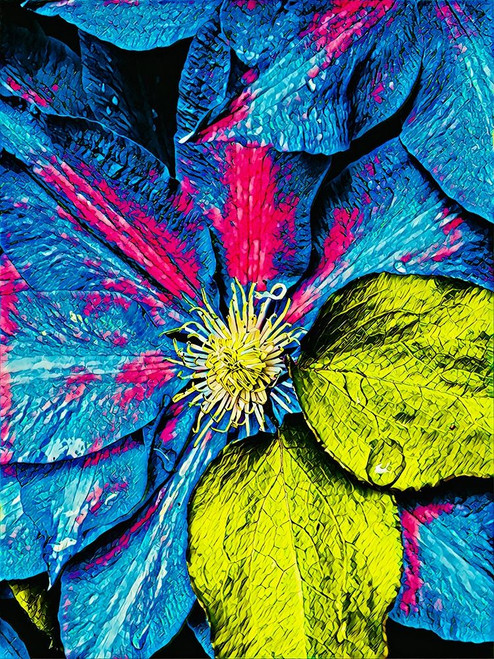 Clematis Abstract Poster Print by Heidi Bannon # HBA116983
