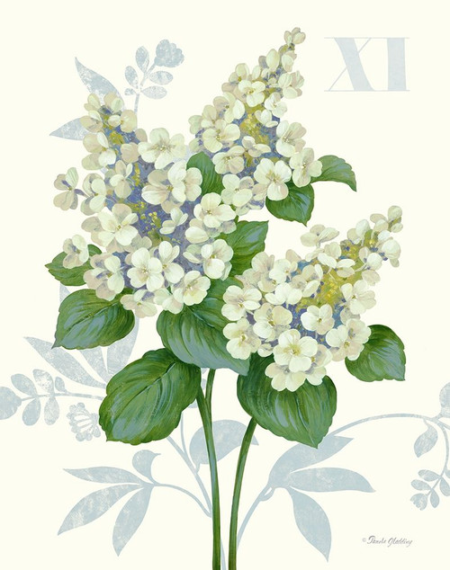 Tardiva Hydrangea Poster Print by Pamela Gladding # GLA624