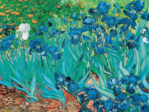 Iris Poster Print by Vincent van Gogh # GC022