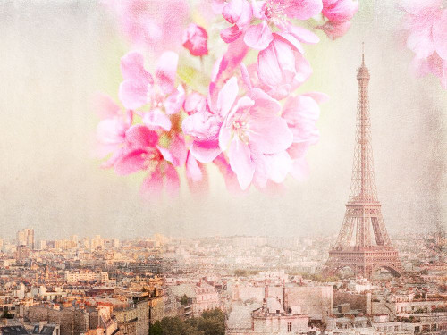 Tour Eiffel Rose Poster Print by Georgianna Lane # GA008A