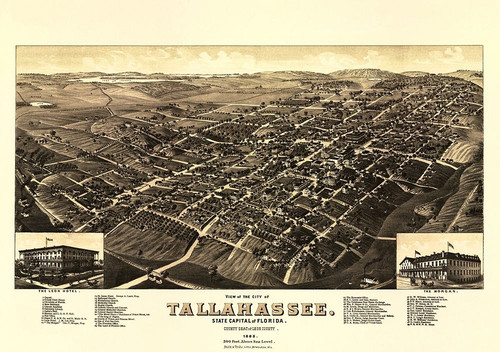 Tallahassee Florida - Beck 1885 Poster Print by Beck Beck # FLTA0002