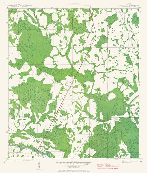 White City Florida Quad- USGS 1943 Poster Print by USGS USGS # FLWC0001