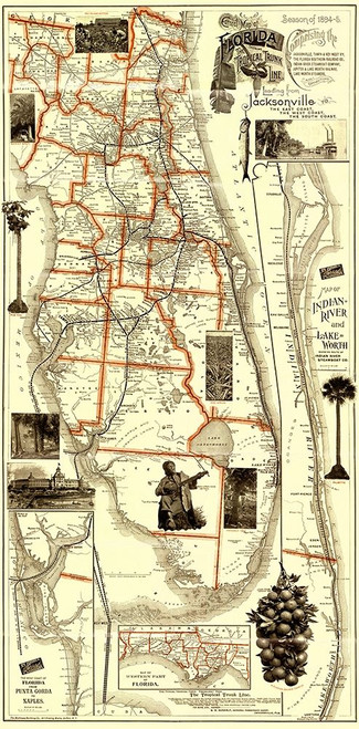 Florida Railroads - Matthews 1894 Poster Print by Matthews Matthews # FLZZ0023