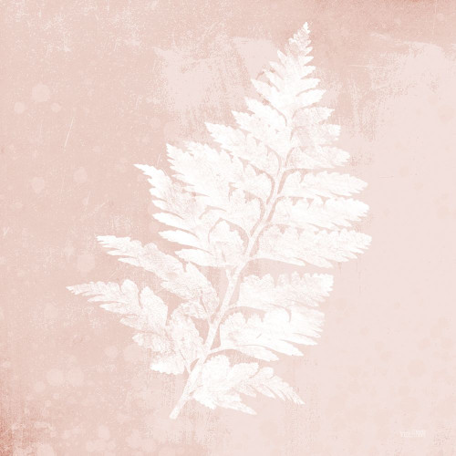 Blush Fern II Poster Print by House Fenway House Fenway # FEN150
