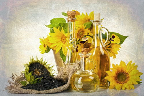 Sunflowers Seeds and Oil Poster Print by Ronald Bolokofsky # FAS2285