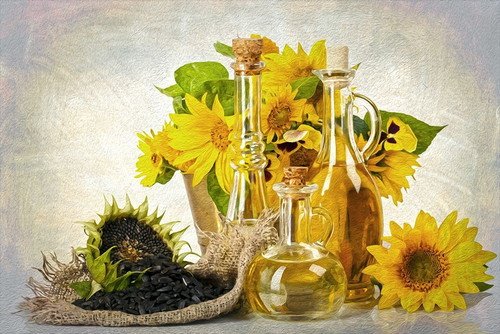 Sunflowers Seeds and Oil Poster Print by Ronald Bolokofsky # FAS2285