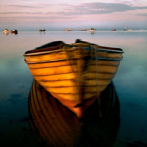 Morning Reflections Poster Print by Ronald Bolokofsky # FAS2225