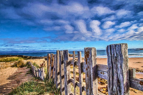 Beach Barrier Poster Print by Ronald Bolokofsky # FAS2182