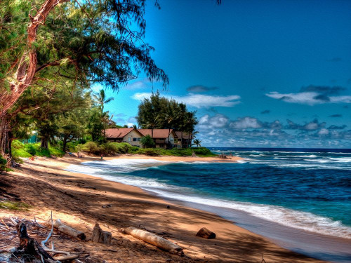 On the Beach in Kauai Poster Print by Ronald Bolokofsky # FAS2232