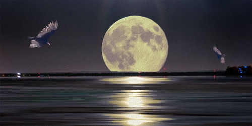 Full Moon Setting Poster Print by Ronald Bolokofsky # FAS2204