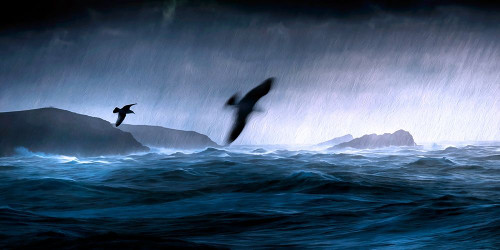 Flying Through the Storm Poster Print by Ronald Bolokofsky # FAS2199