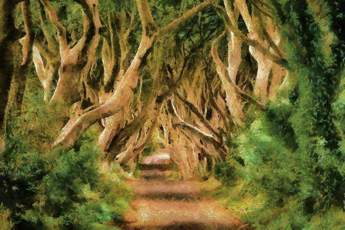 Tree Lane Poster Print by Ronald Bolokofsky # FAS1930