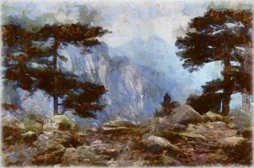 Mountain Top View Poster Print by Ronald Bolokofsky # FAS1997