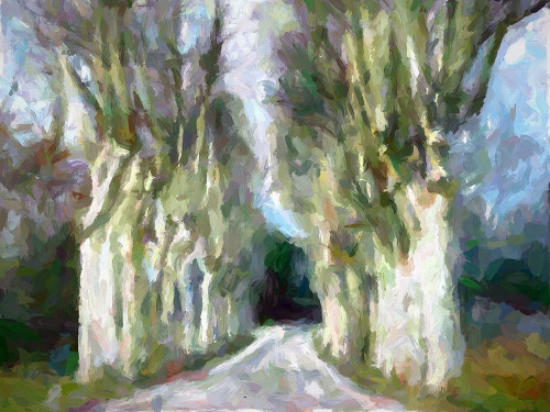 A Road Less Traveled Poster Print by Ronald Bolokofsky # FAS1940