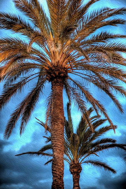 Against the Blue Sky Poster Print by Ronald Bolokofsky # FAS1943