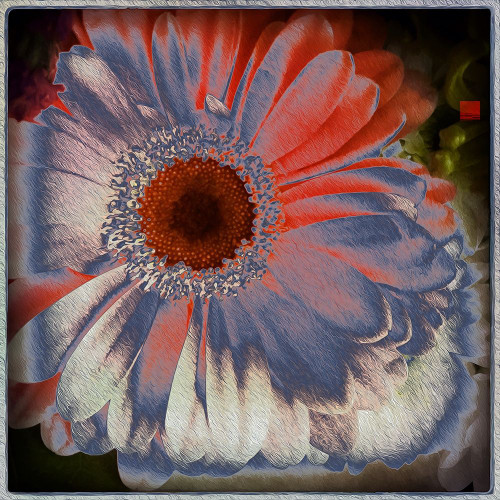 Floral Blue Poster Print by Ronald Bolokofsky # FAS1895