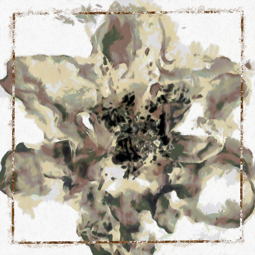 Calyx III Poster Print by Ronald Bolokofsky # FAS1870