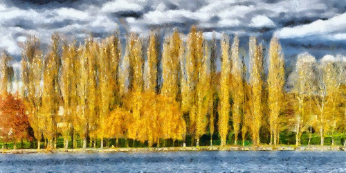 Golden Trees  Poster Print by Ronald Bolokofsky # FAS1983