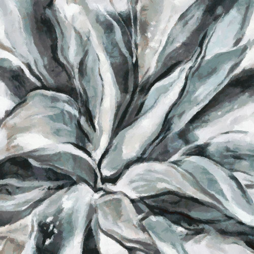 Cereus Aloe Poster Print by Ronald Bolokofsky # FAS1877