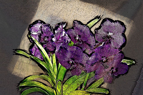 Magic Orchids II Poster Print by Ronald Bolokofsky # FAS1914