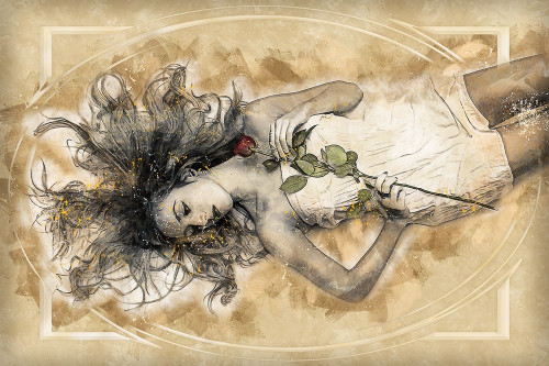 A Long Stem Red Rose Poster Print by Ronald Bolokofsky # FAS1640