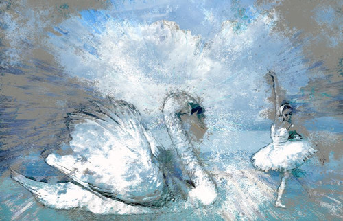 Swan Lake Poster Print by Ronald Bolokofsky # FAS1616