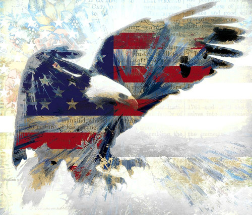 American Eagle Poster Print by Ronald Bolokofsky # FAS1519