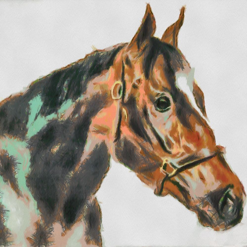 Portrait of a Winner Poster Print by Ronald Bolokofsky # FAS1335