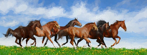 Running Wild Poster Print by Ronald Bolokofsky # FAS1324