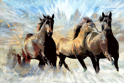 Against the Wind Poster Print by Ronald Bolokofsky # FAS1265