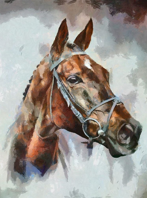 Portrait of a Champion Poster Print by Ronald Bolokofsky # FAS1330