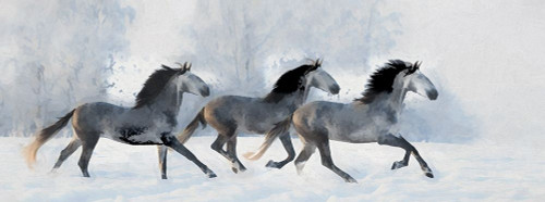 Winter Run Poster Print by Ronald Bolokofsky # FAS1358