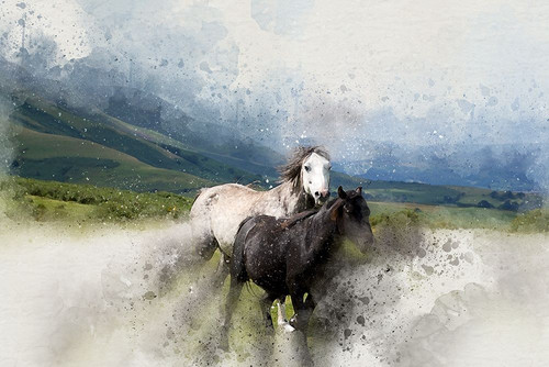 Wild Horses I  Poster Print by Ronald Bolokofsky # FAS1353