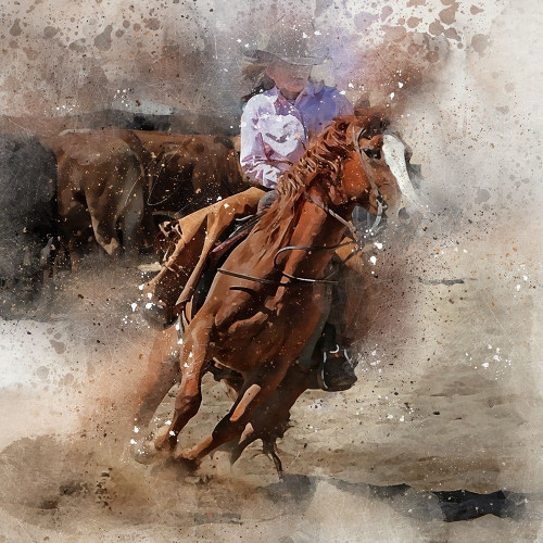 Cowgirl II Poster Print by Ronald Bolokofsky # FAS1283