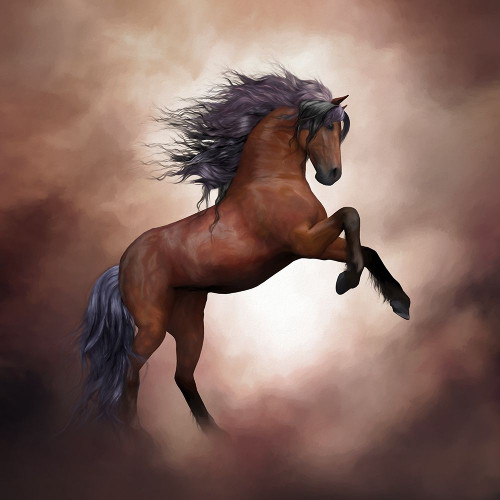 Horse Tales II Poster Print by Ronald Bolokofsky # FAS1301